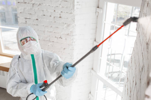 Best Mold Prevention Services  in Temecula, CA