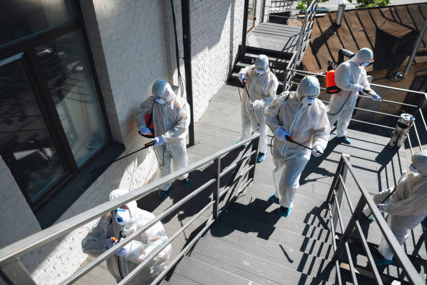 Best Mold Remediation for Vacation Homes  in Temecula, CA