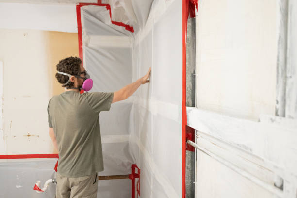 Best Mold Removal for HVAC Installations  in Temecula, CA