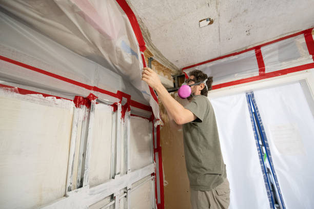 Best Indoor Air Quality Assessment  in Temecula, CA