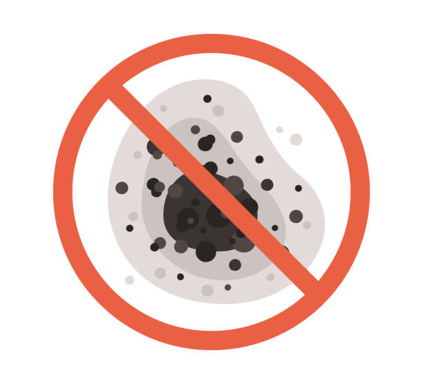 Best Commercial Mold Inspection  in Temecula, CA