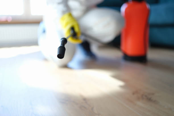 Best Air Quality Testing for Mold Spores  in Temecula, CA