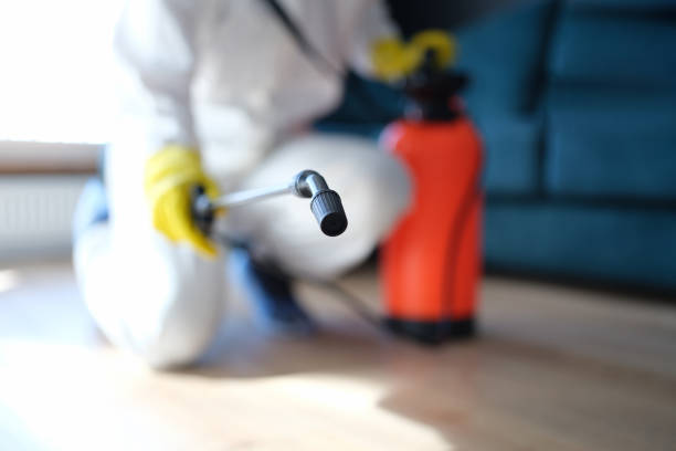 Best Post-Remediation Verification Testing  in Temecula, CA