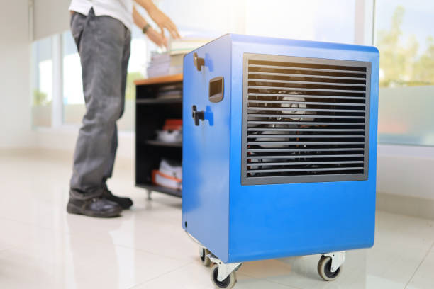 Best Mold Damage Restoration  in Temecula, CA