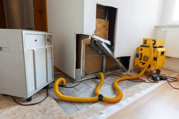 Best Flood Damage  in Temecula, CA