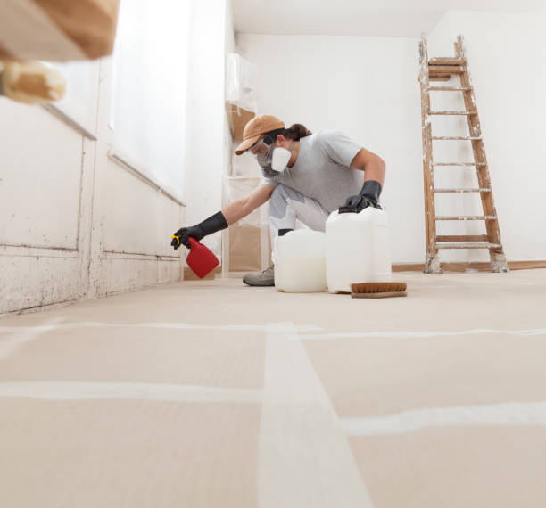 Environmental Consulting for Mold Prevention in Temecula, CA